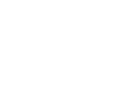 Frituur De Wijk